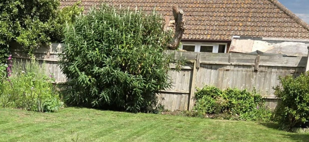 Tired grey leaning fence panels before replacement in Hythe