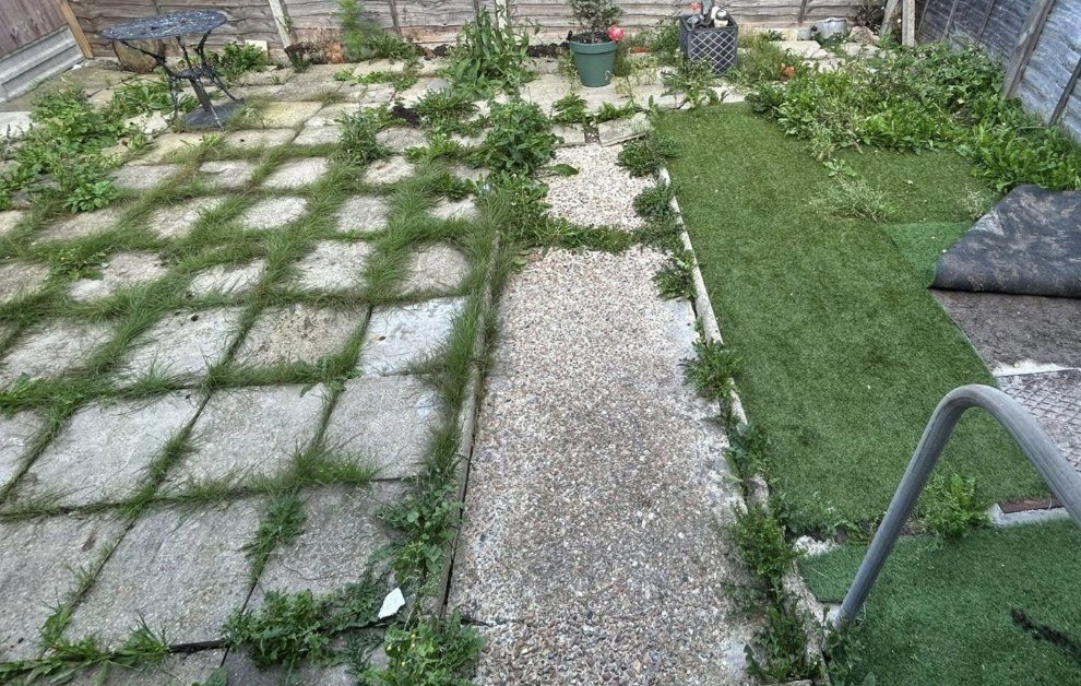 Overgrown weedy paving and patchy grass before a garden rebuild in Kent