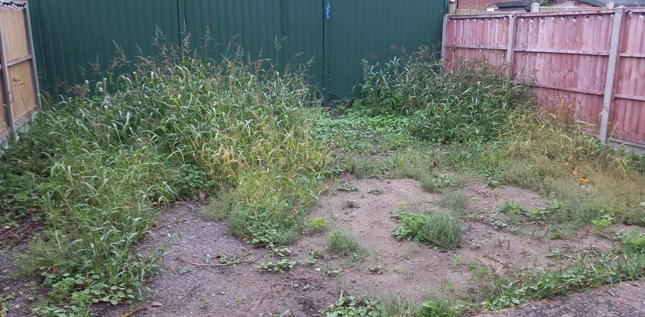 Overgrown weed filled garden before transformation in Folkestone